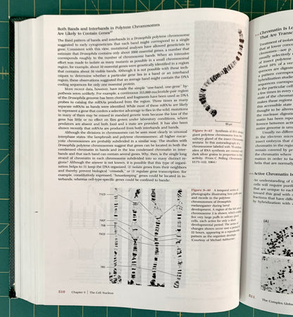 An open book showing printed scientific text and chromosome diagrams, photographed from above on a green cutting mat background.
[additional_image_link]