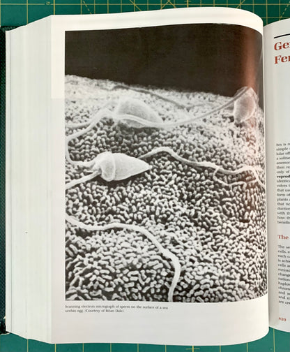 An open book showing a black-and-white scientific micrograph of sperm on a textured surface, with printed text visible on both pages, photographed on a green cutting mat.
[additional_image_link]