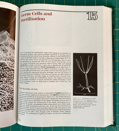An open biology textbook showing a printed page titled 'Germ Cells and Fertilization' with text, a large photo on the left, and a black-and-white diagram on the right. The book is photographed lying on a green cutting mat.
[additional_image_link]