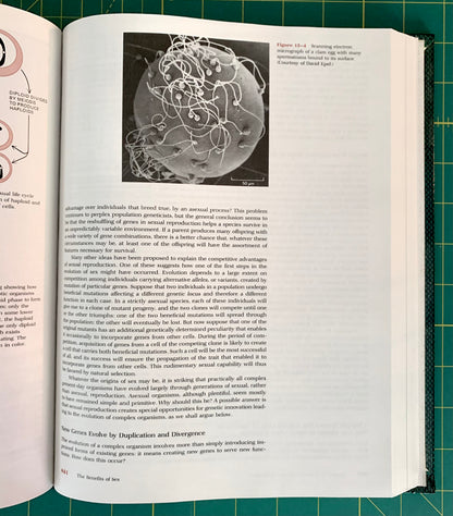 An open book showing printed pages with text and a black-and-white scientific illustration, photographed from above on a green cutting mat background.
[additional_image_link]