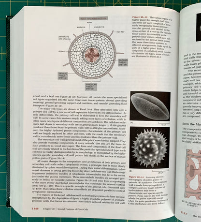 An open book showing printed pages with diagrams and text about plant cells, photographed on a green cutting mat background.
[additional_image_link]