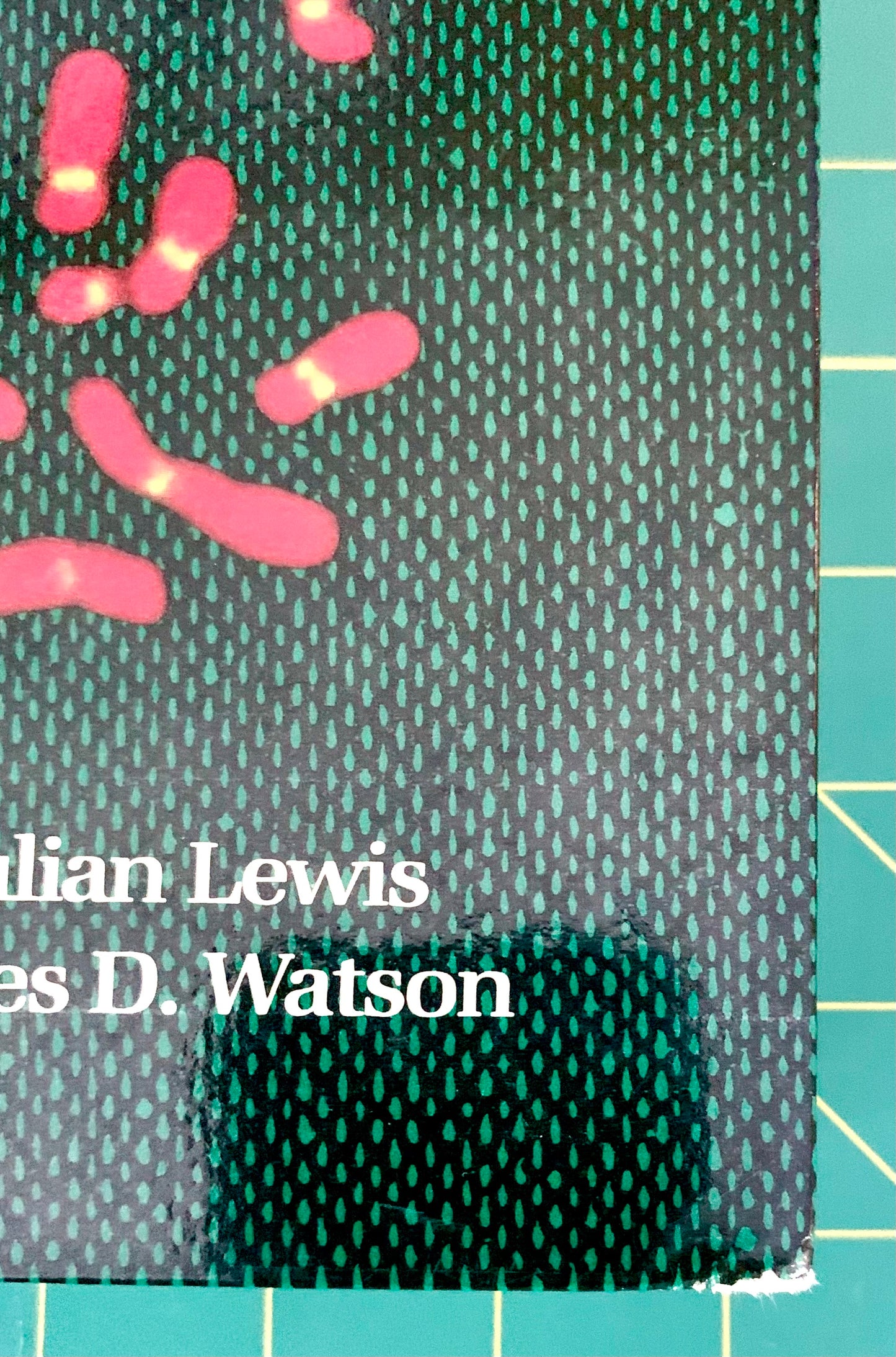 Close-up of a book cover featuring a black background with a repeating green mesh-like pattern, pink rod-shaped illustrations, and white text reading 'Molecular Biology of the Cell' and 'David D. Watson'.
[additional_image_link]