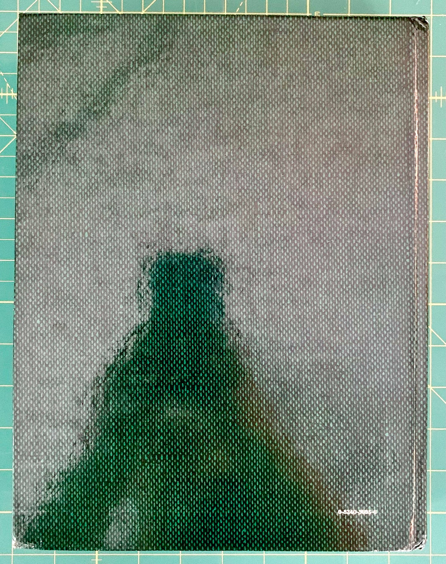 The back of a textbook featuring a textured gray background, photographed on a green cutting mat.
[additional_image_link]