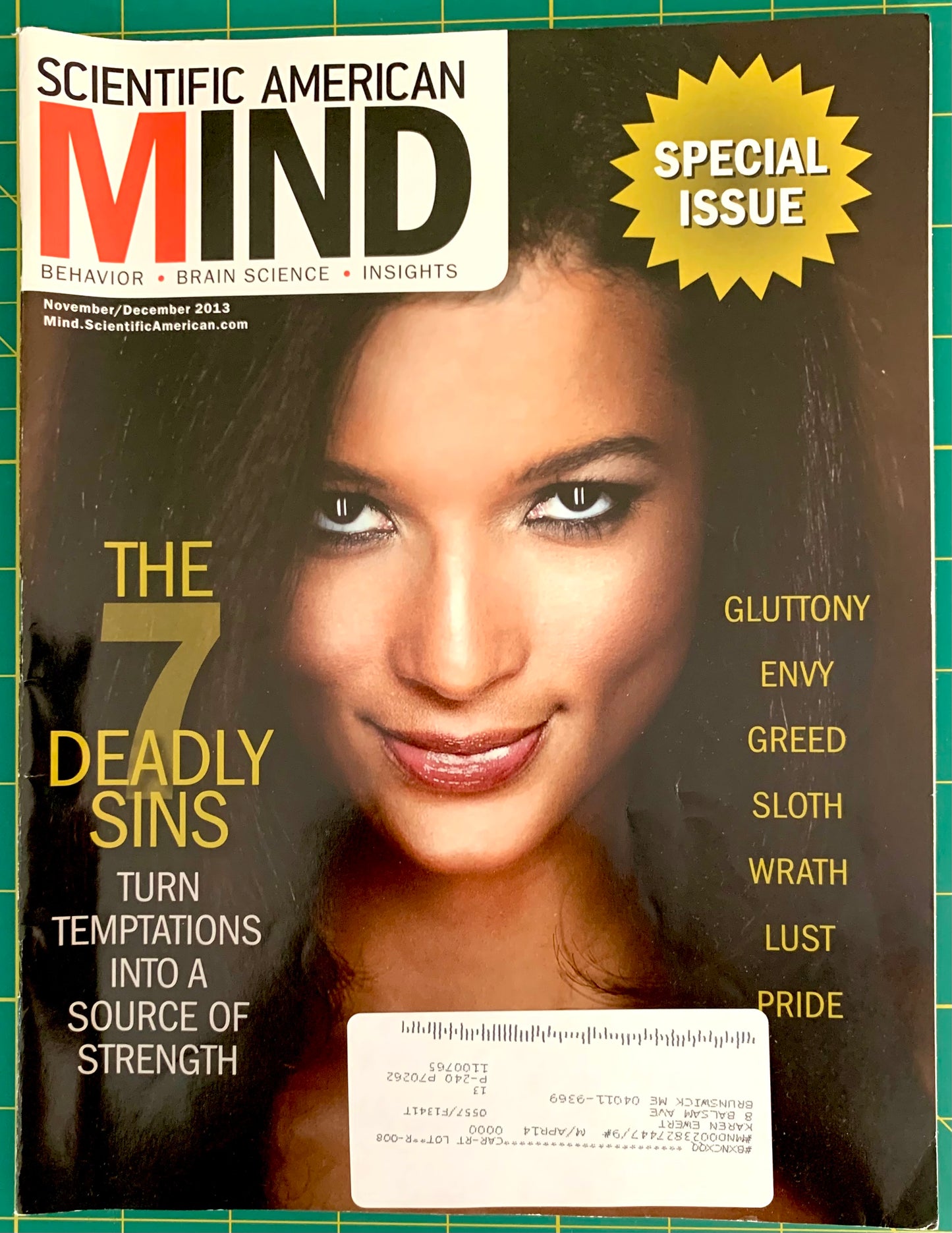 Scientific American Mind magazine cover from December 2013, featuring a close-up portrait of a woman on the cover with the headline 'The 7 Deadly Sins' and a gold 'Special Issue' burst. A white barcode sticker is visible at the bottom.
[image_link]