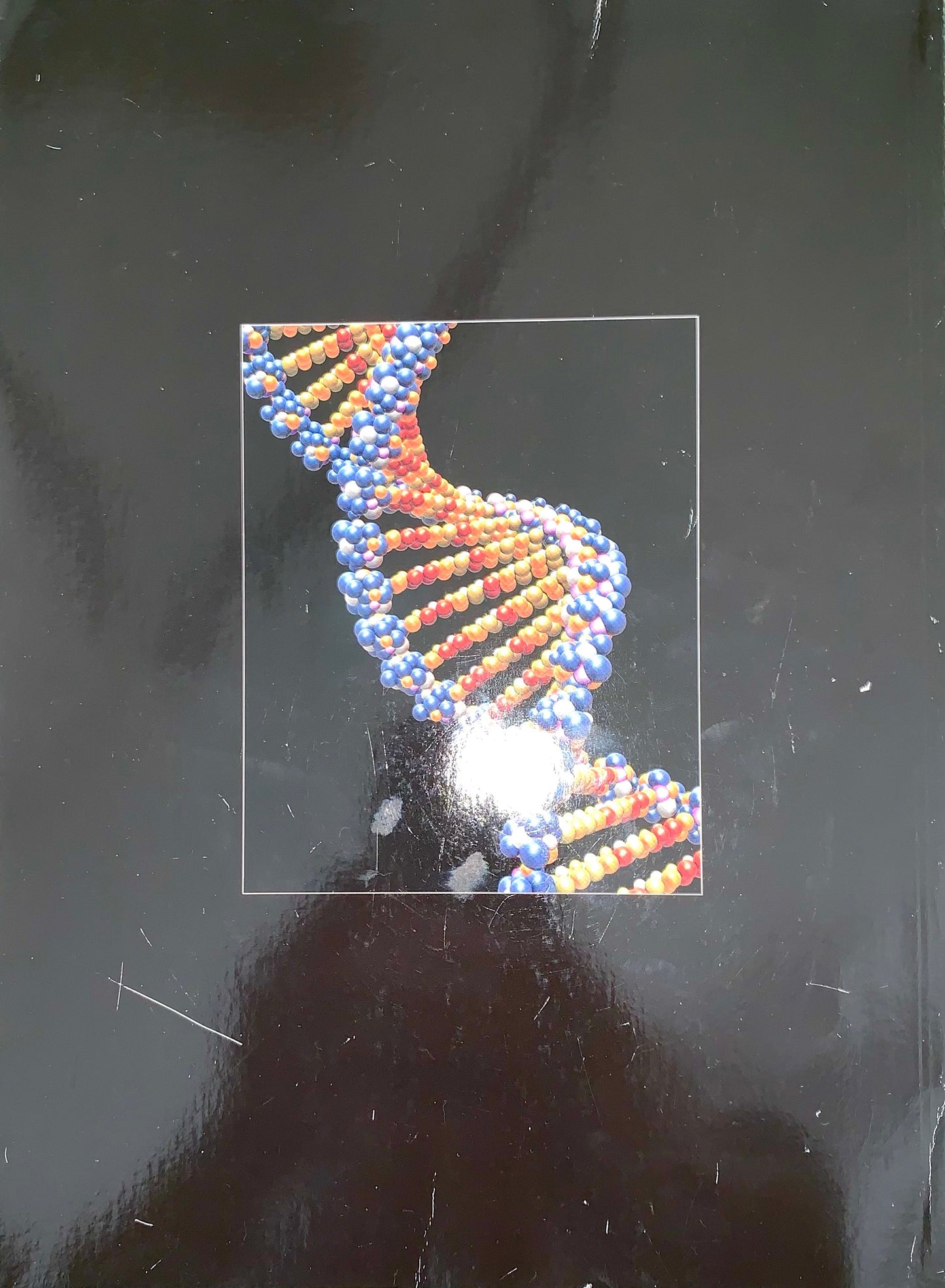 A square printed card or sticker featuring a 3D model of a double helix DNA strand in blue and orange, placed on a dark, reflective surface.
[additional_image_link]
