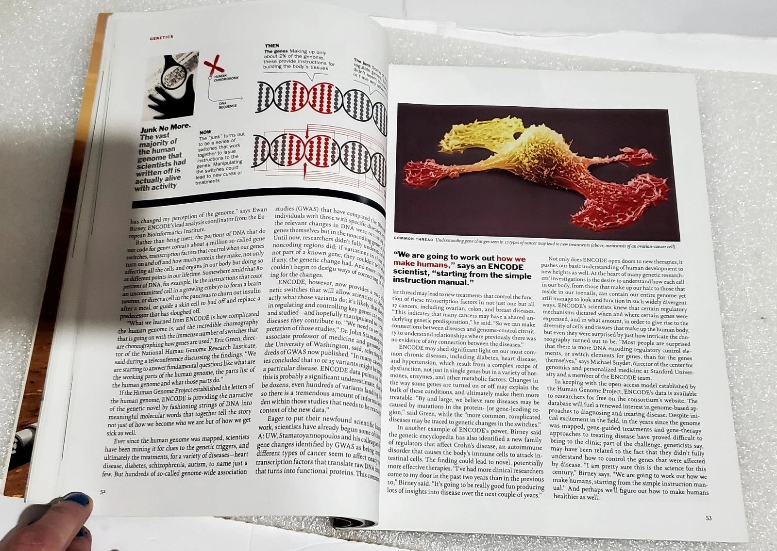 An open book showing printed pages with text, diagrams, and a colorful scientific photograph of a DNA double helix structure, photographed on a light textured surface.
[additional_image_link]