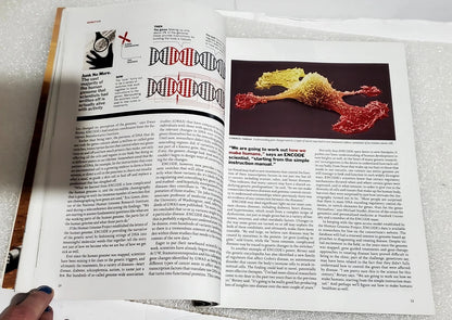 An open book showing printed pages with text, diagrams, and a colorful scientific photograph of a DNA double helix structure, photographed on a light textured surface.
[additional_image_link]