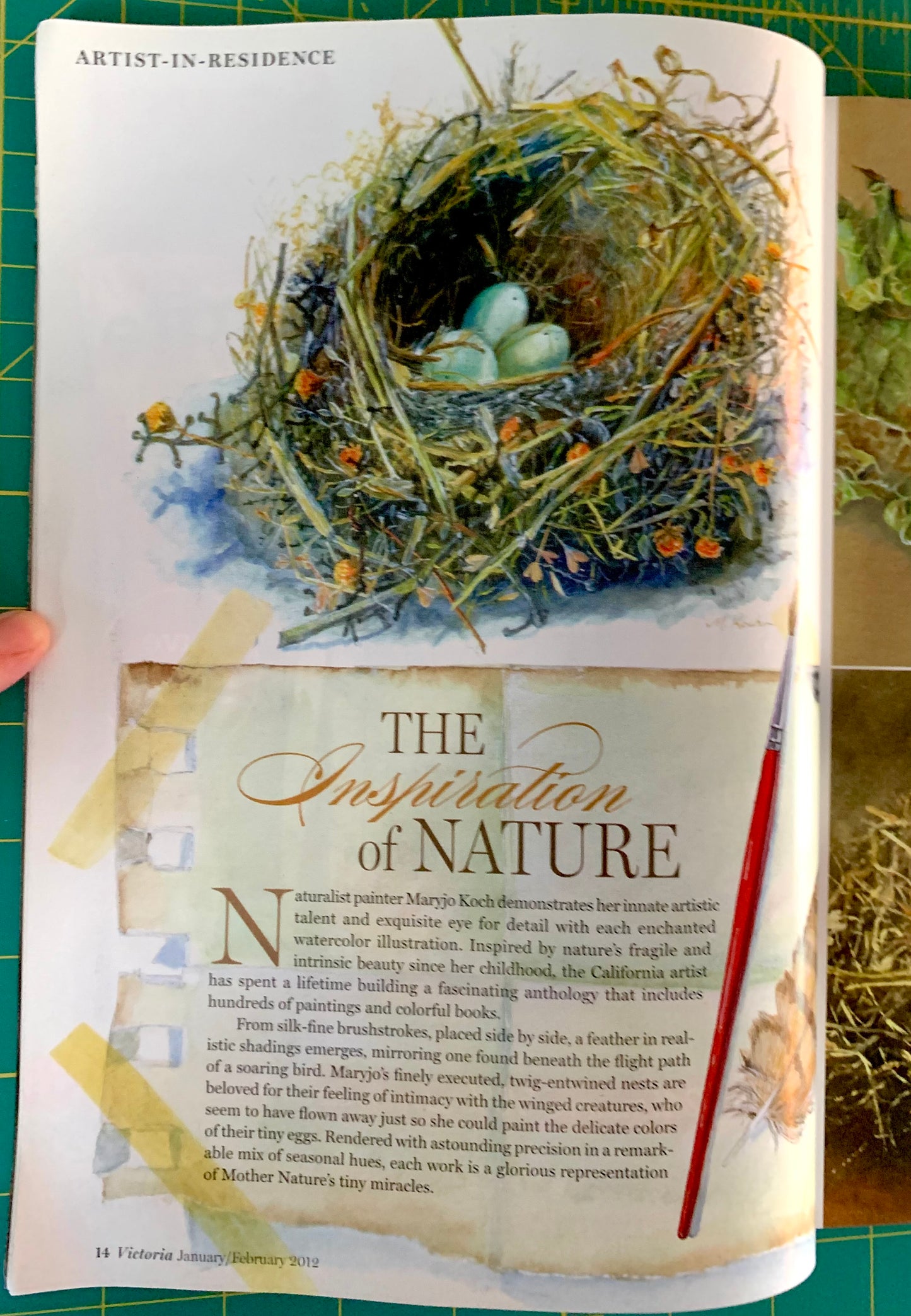 An open book or magazine page featuring a watercolor-style illustration of a bird's nest with blue eggs and surrounding text, photographed over a green cutting mat with a hand holding the left edge.
[additional_image_link]