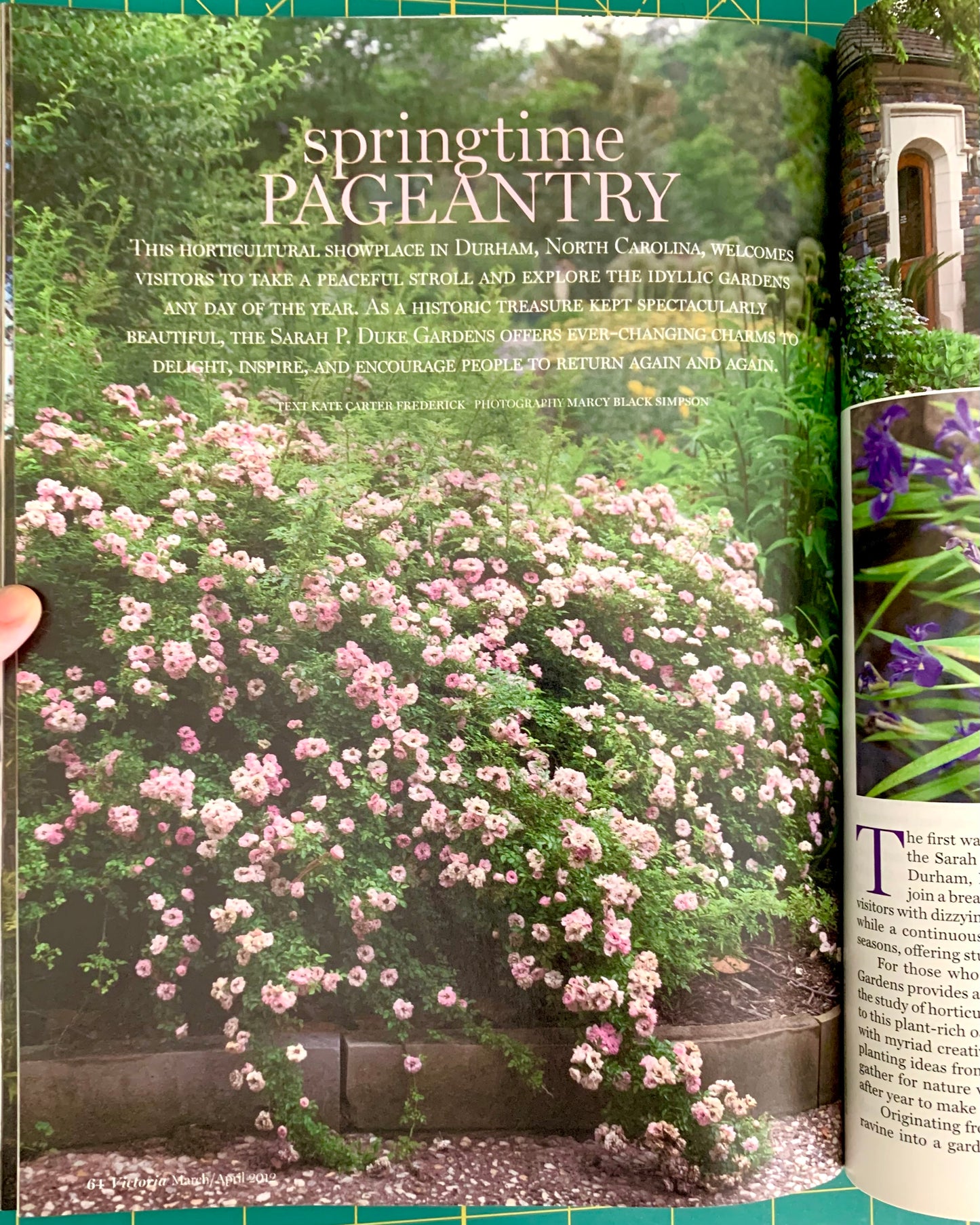 A printed garden page spread from a book or magazine, showing a large photograph of pink flowering bushes in a garden with the headline 'springtime PAGE ENTRY,' plus a hand holding the left page edge and part of another page visible on the right. The page is photographed over a green cutting mat.
[additional_image_link]