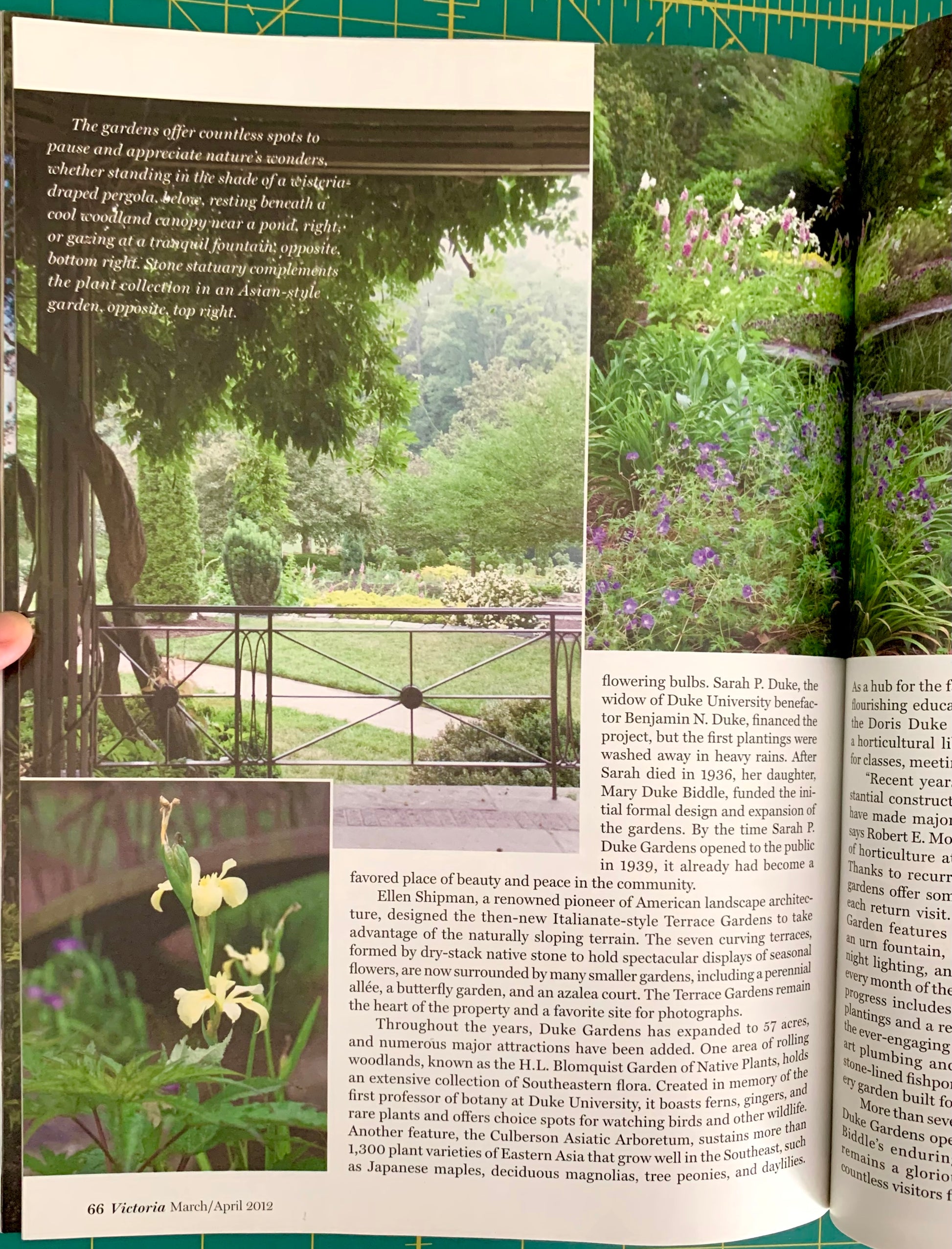 An open book showing a garden landscape photograph on the left page and text with a smaller inset photo on the right page, photographed against a green cutting mat background.
[additional_image_link]