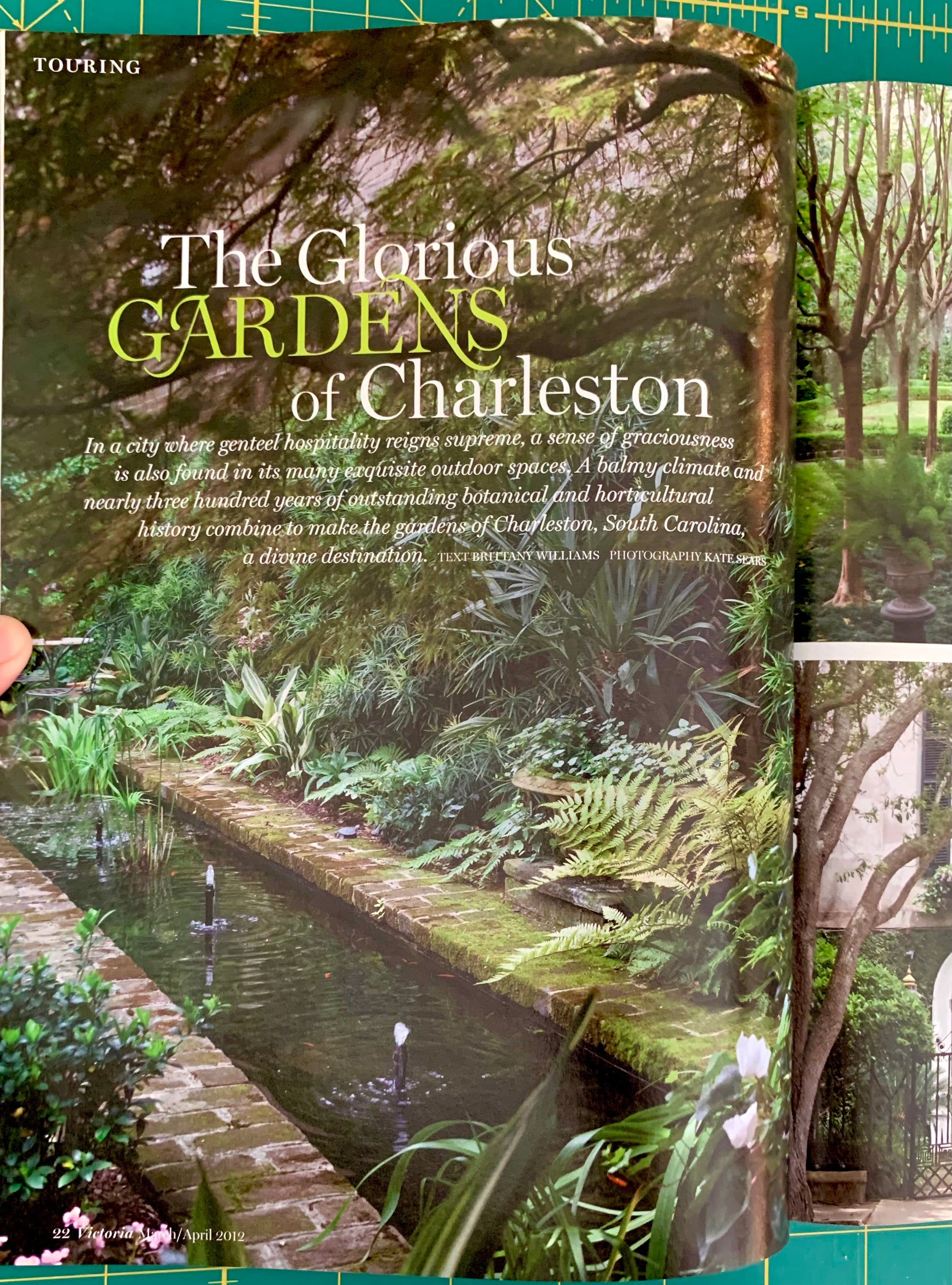 Glorious gardens of Charleston article, a pond surrounded by plants
[additional_image_link]