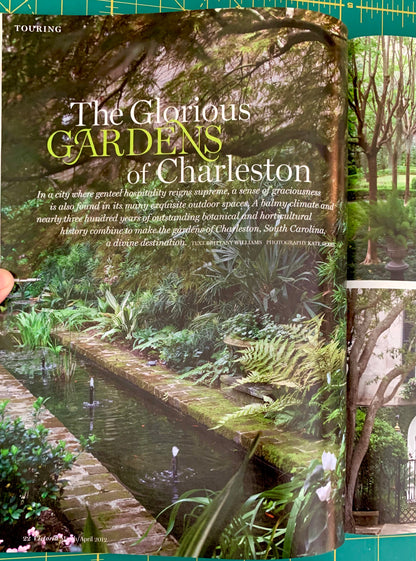 Glorious gardens of Charleston article, a pond surrounded by plants
[additional_image_link]