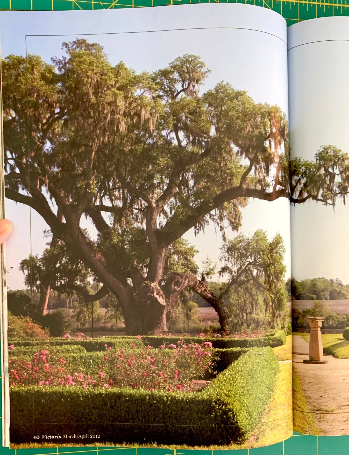 An open book or magazine showing a large photograph of a sprawling oak tree in a landscaped garden with hedges and flowers. A hand is visible holding the left page edge, and the book is placed on a green cutting mat with grid lines.
[additional_image_link]