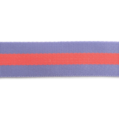 A spool of Tula Pink striped Nylon Webbing in lavender and neon peach colors, used for sewing and crafting.
Photo by RenaissanceRibbons.com [additional_image_link]
