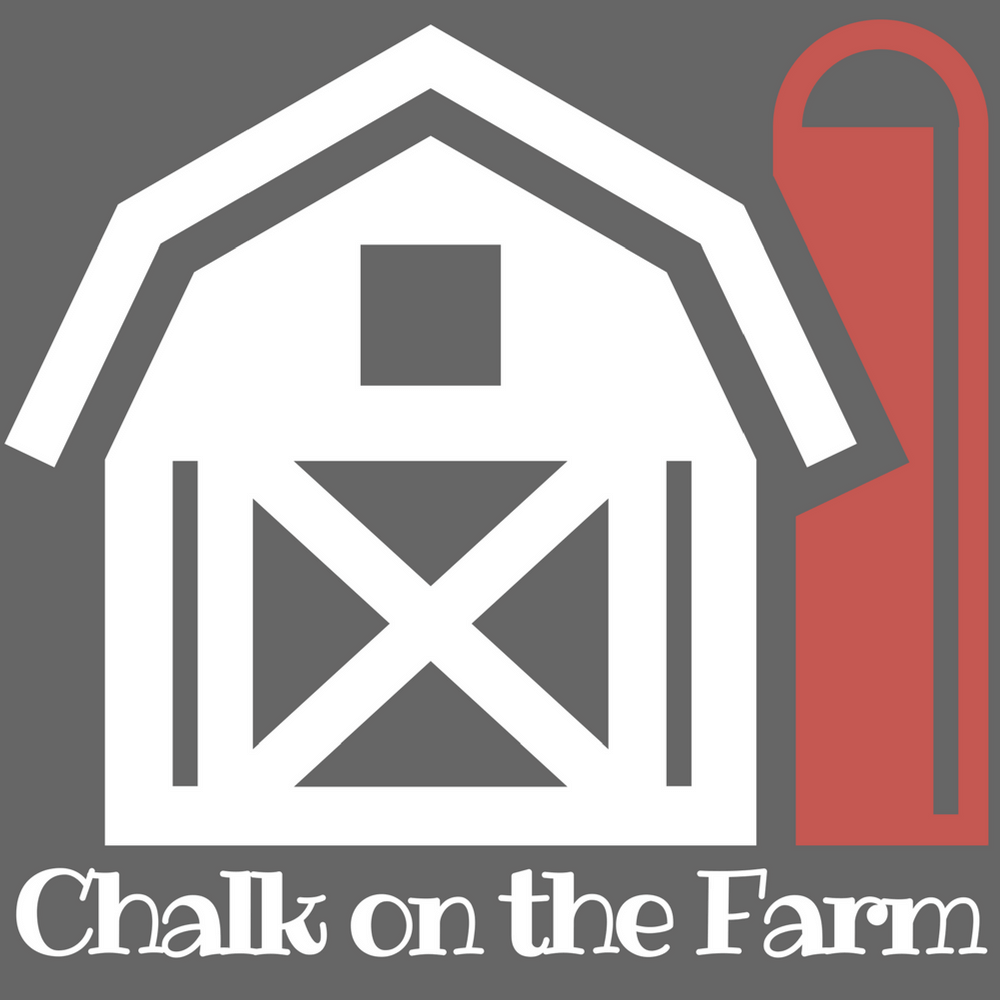 WINTER WONDERLAND FARM Chalk on the Farm Cross Stitch Embroidery & Ornament Kit from Hands On Design: Pattern, Linen, Floss, Rick Rack